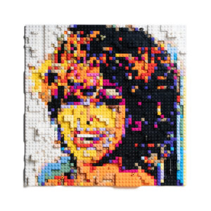 Portrait of Tina Turner in Lego